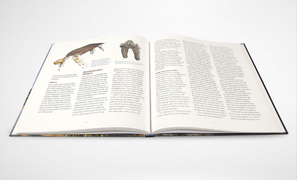 Illustartioner til geologiske naturperler