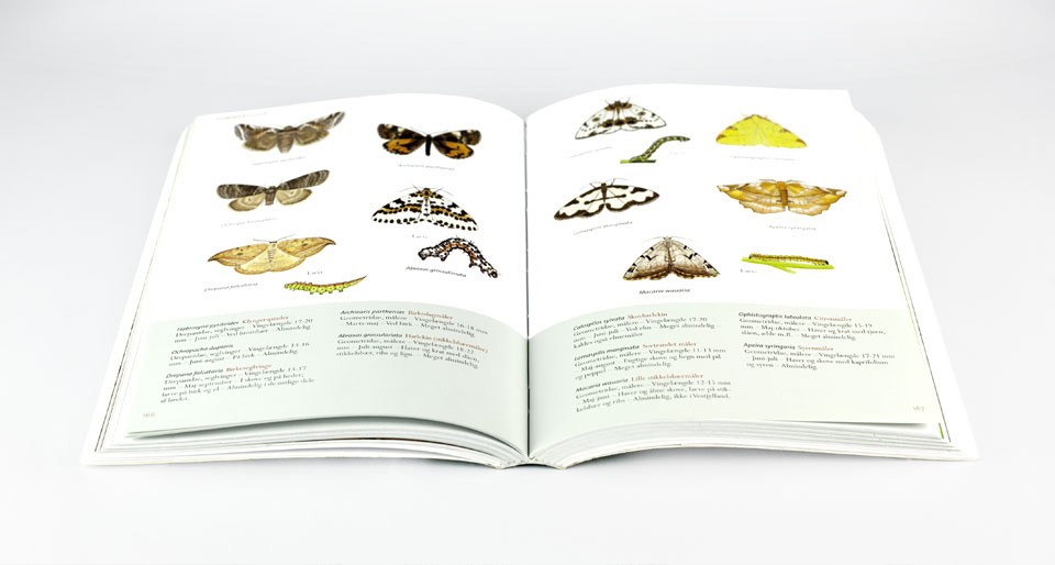Bogdesign til Insekter i Danmark
