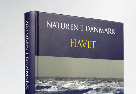 Bogdesign Havet