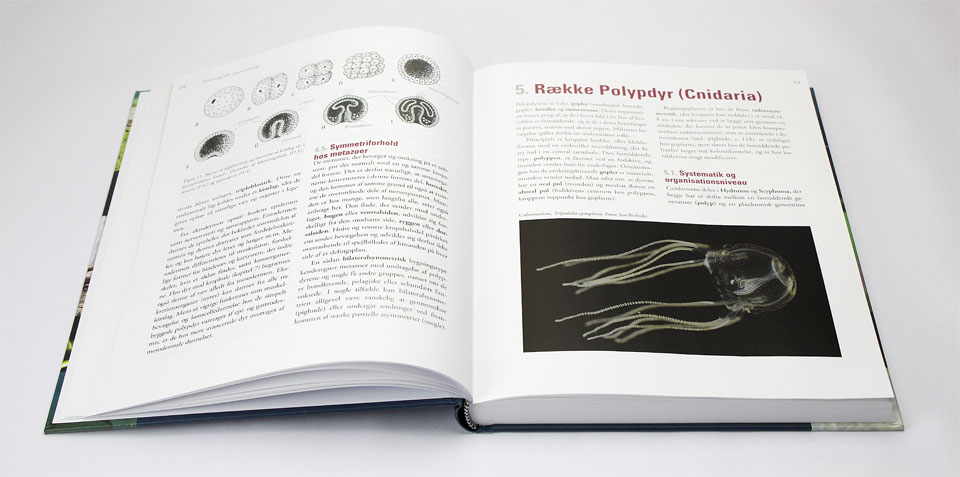 Illustationer af naturen