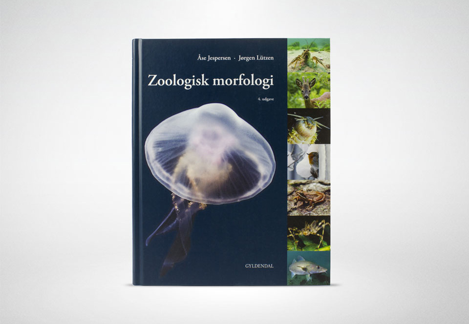Forside Zoologisk Morfologi
